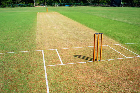 GODREJ WOODSCAPES Amenities - Kids Play Area