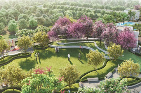 GODREJ WOODSCAPES Amenities - Swimming Pool